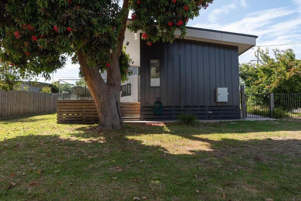 Flowering Gum House - Furry Friends Welcome Villa Anglesea Eksteriør billede